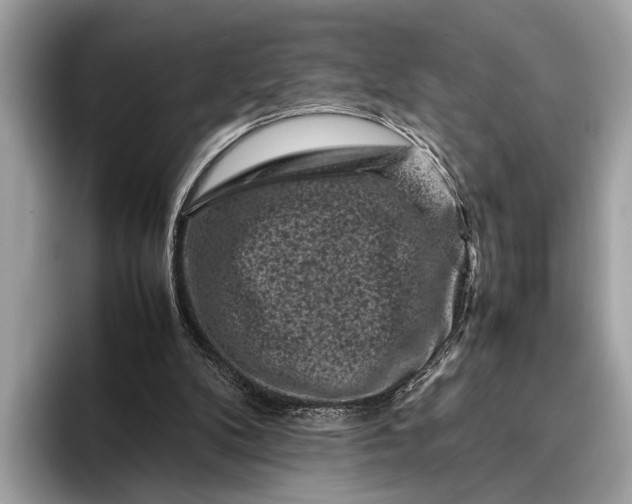 X0000095910104200801251018