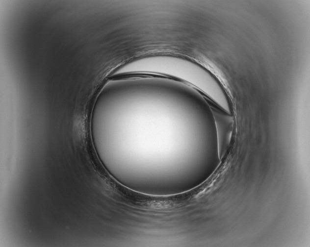 X0000095910105200801251018