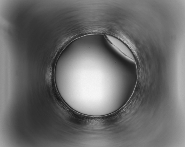 X0000095910107200801251018