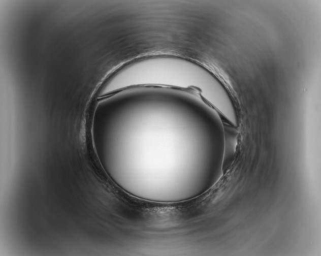 X0000095910108200801251018