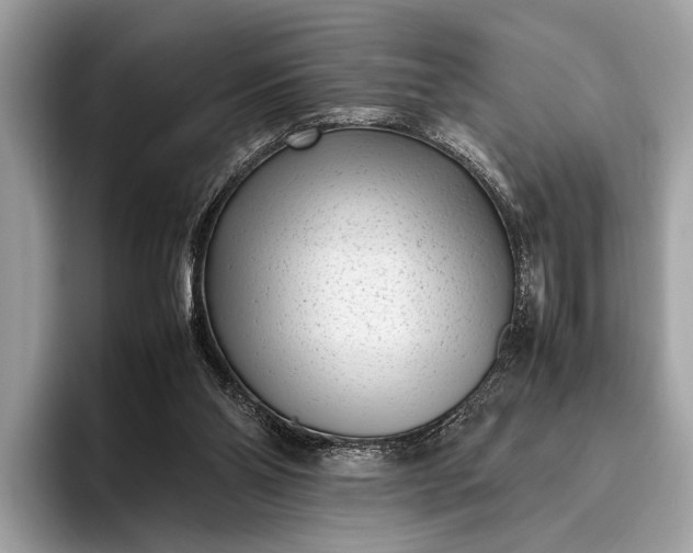 X0000095910110200801251018