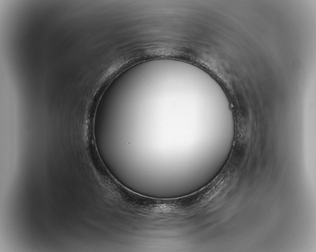 X0000095910111200801251018