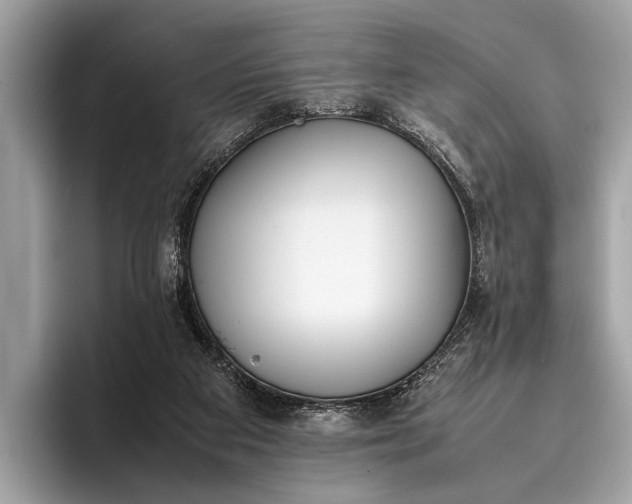 X0000095910113200801251018