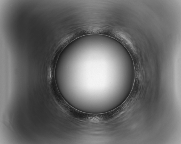 X0000095910115200801251018