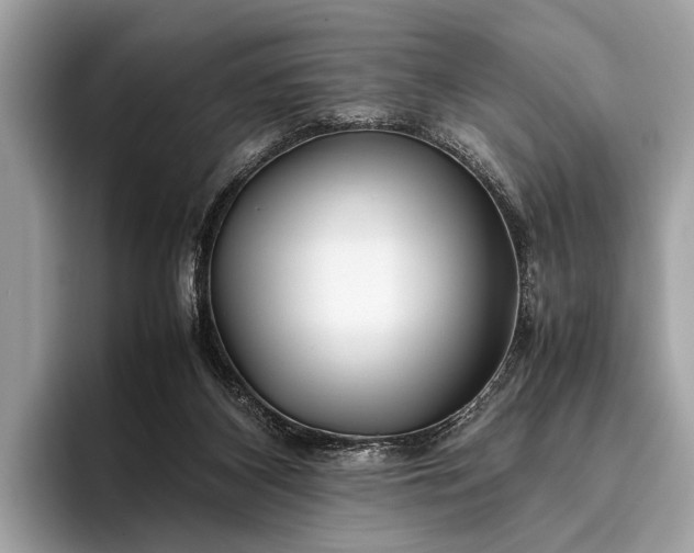 X0000095910116200801251017