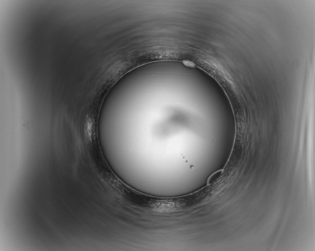 X0000095910123200801251017