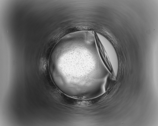 X0000095910125200801251017