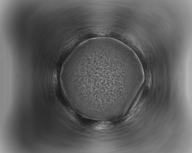 X0000095910128200801251017