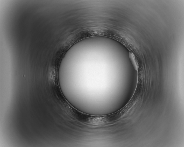 X0000095910129200801251017