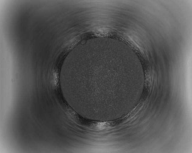 X0000095910130200801251017