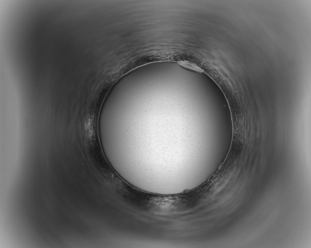 X0000095910131200801251017