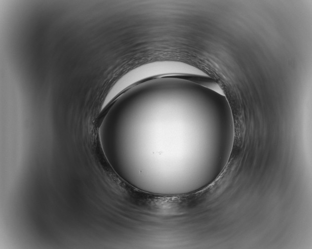 X0000095910136200801251017