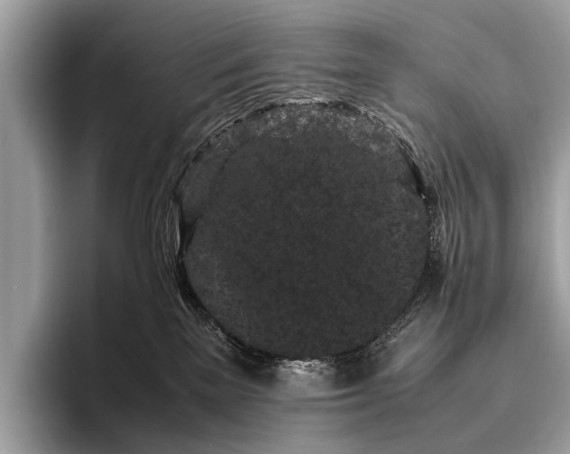 X0000095910137200801251017