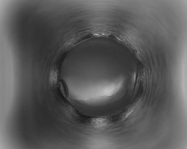 X0000095910139200801251017