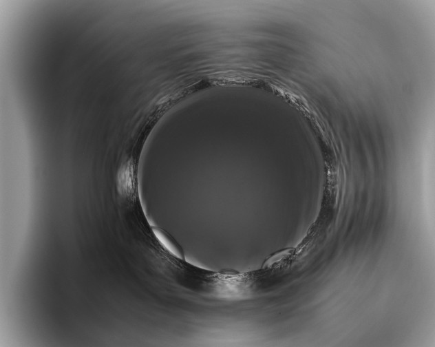 X0000095910143200801251017