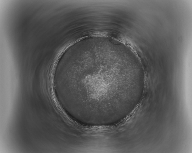 X0000095910145200801251017