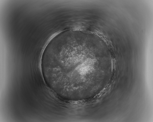 X0000095910147200801251017