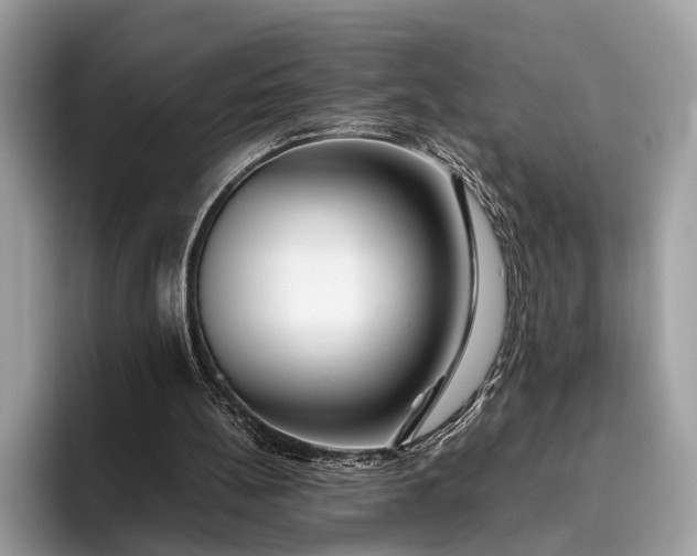 X0000095910148200801251017