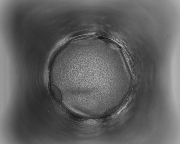 X0000095910149200801251017