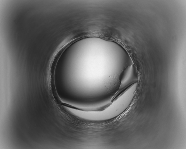 X0000095910150200801251017