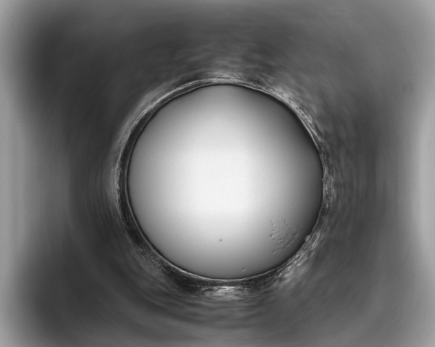 X0000095910151200801251017