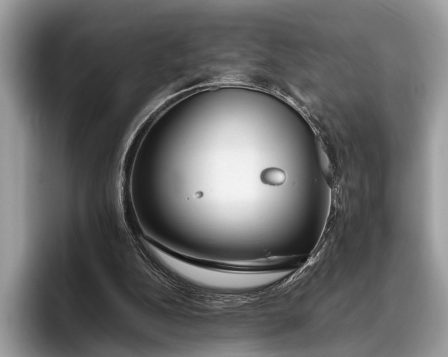 X0000095910152200801251017