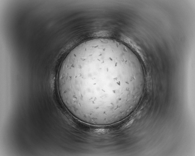 X0000095910153200801251017