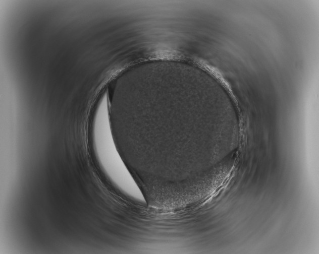 X0000095910154200801251017