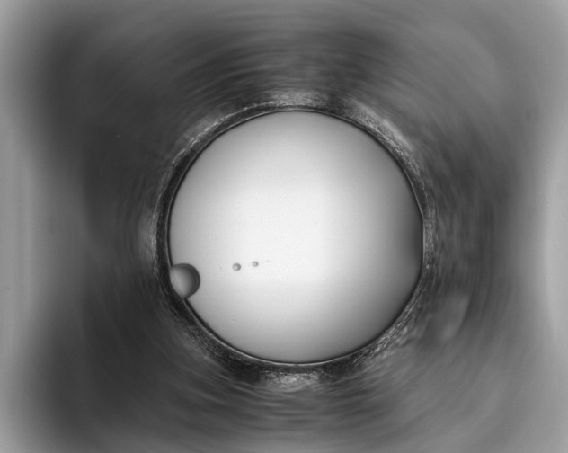 X0000095910155200801251017