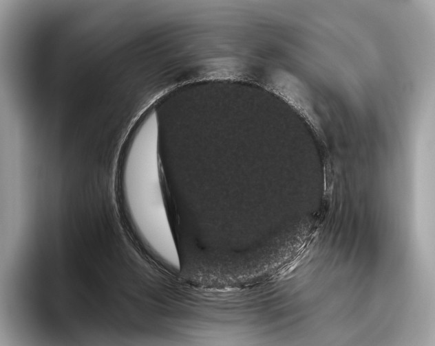 X0000095910156200801251017