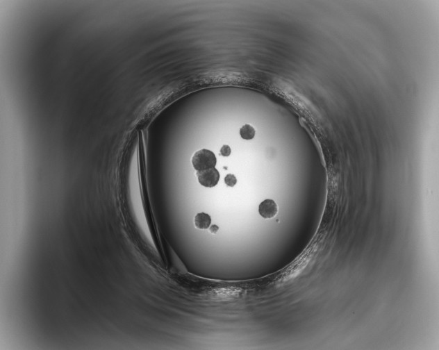 X0000095910158200801251017