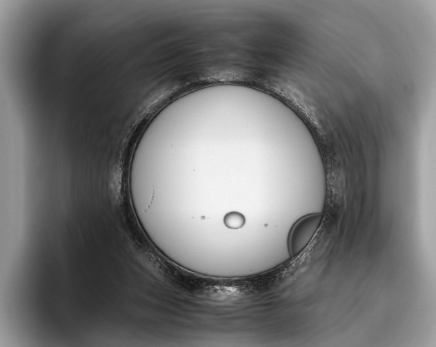 X0000095910159200801251017