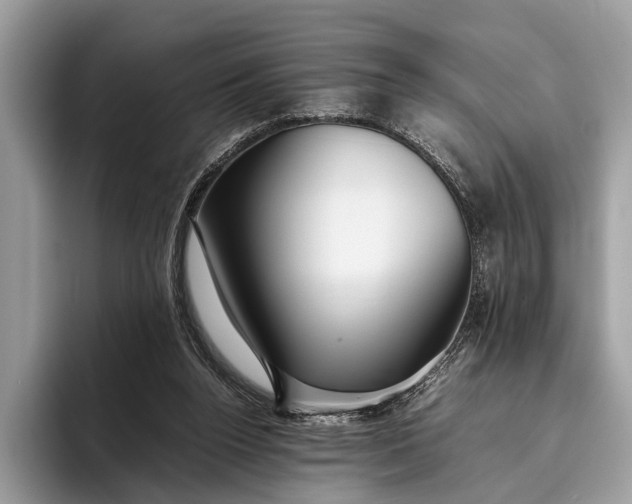 X0000095910160200801251017