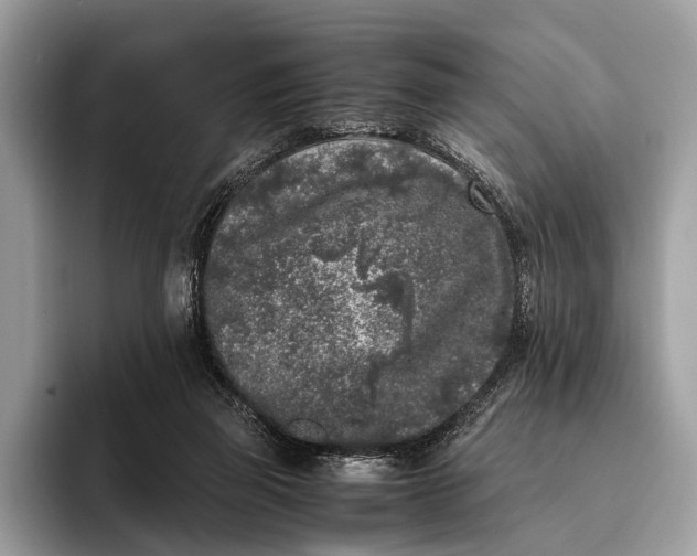 X0000095910165200801251017