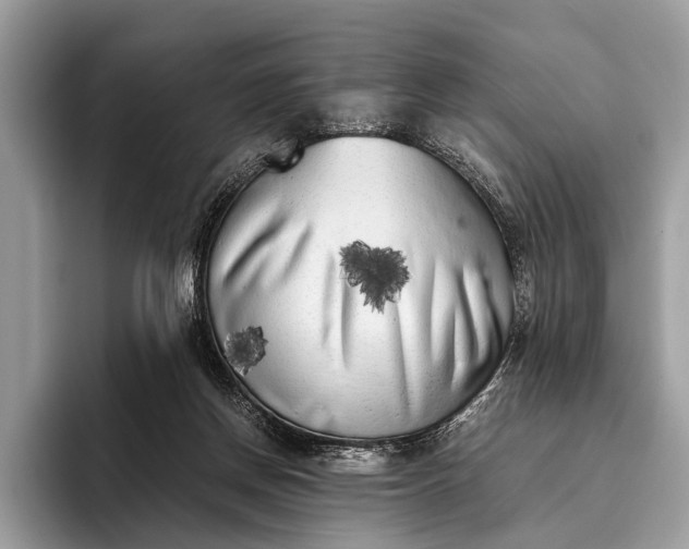 X0000095910166200801251017