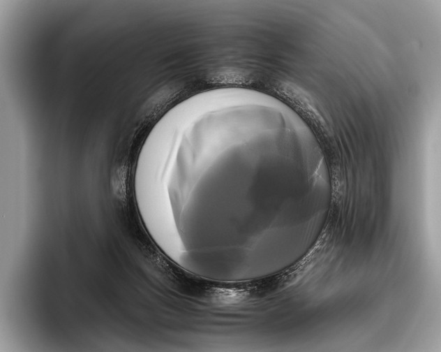 X0000095910167200801251017