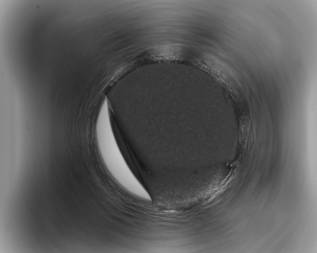 X0000095910168200801251017