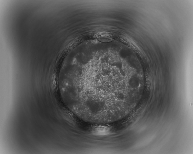 X0000095910169200801251017