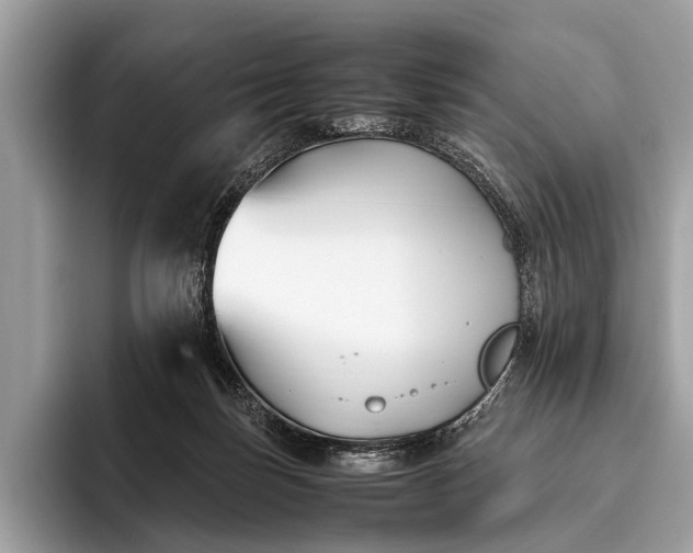 X0000095910171200801251017