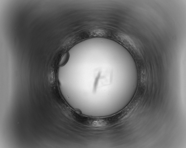 X0000095910173200801251017