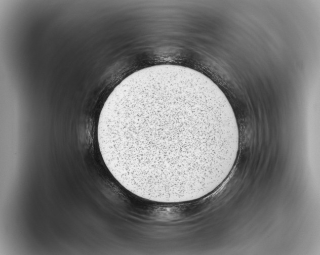 X0000095910174200801251017