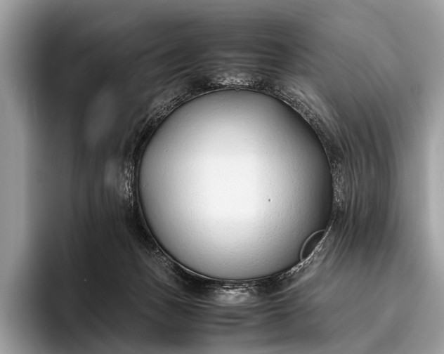 X0000095910175200801251017