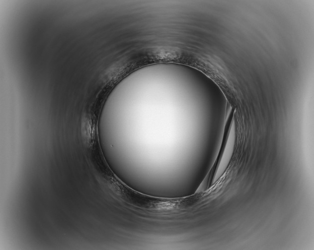 X0000095910176200801251017