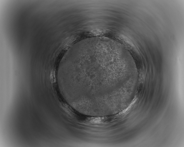 X0000095910182200801251017