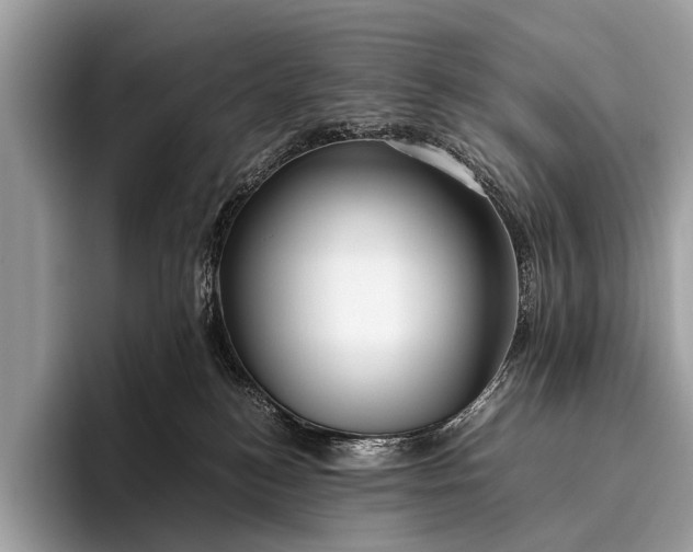 X0000095910184200801251017