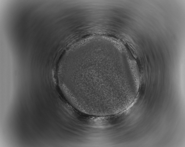 X0000095910186200801251017