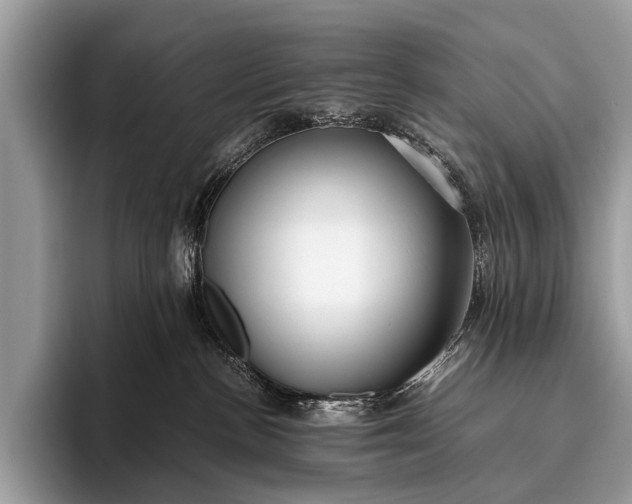 X0000095910188200801251017