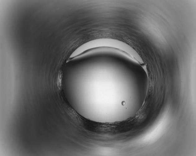 X0000095910190200801251017