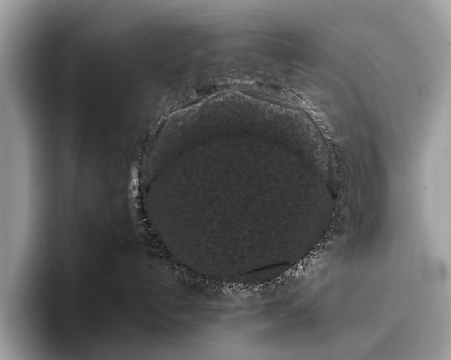 X0000095910192200801251017