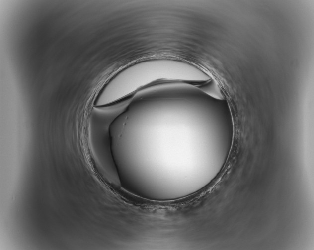 X0000095910193200801251016